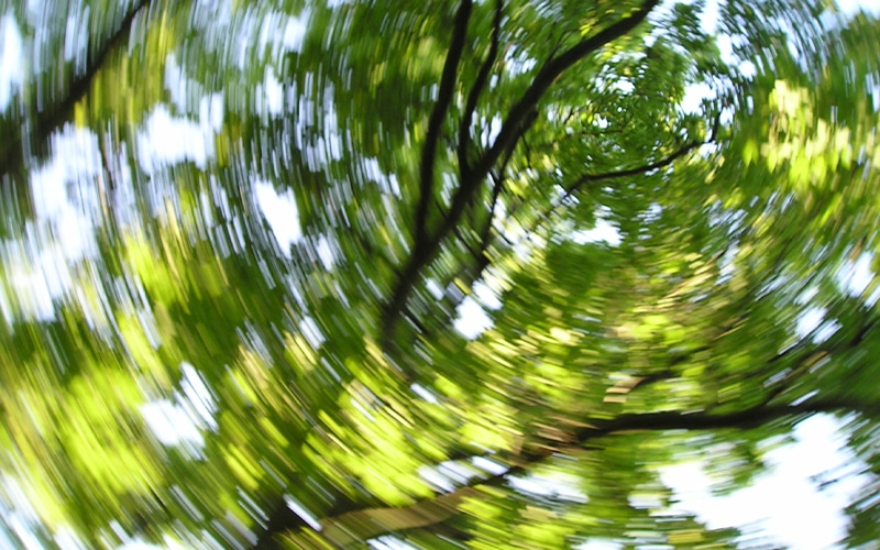 DIZZINESS AND VERTIGO PHYSIO EASTERN SUBURBS