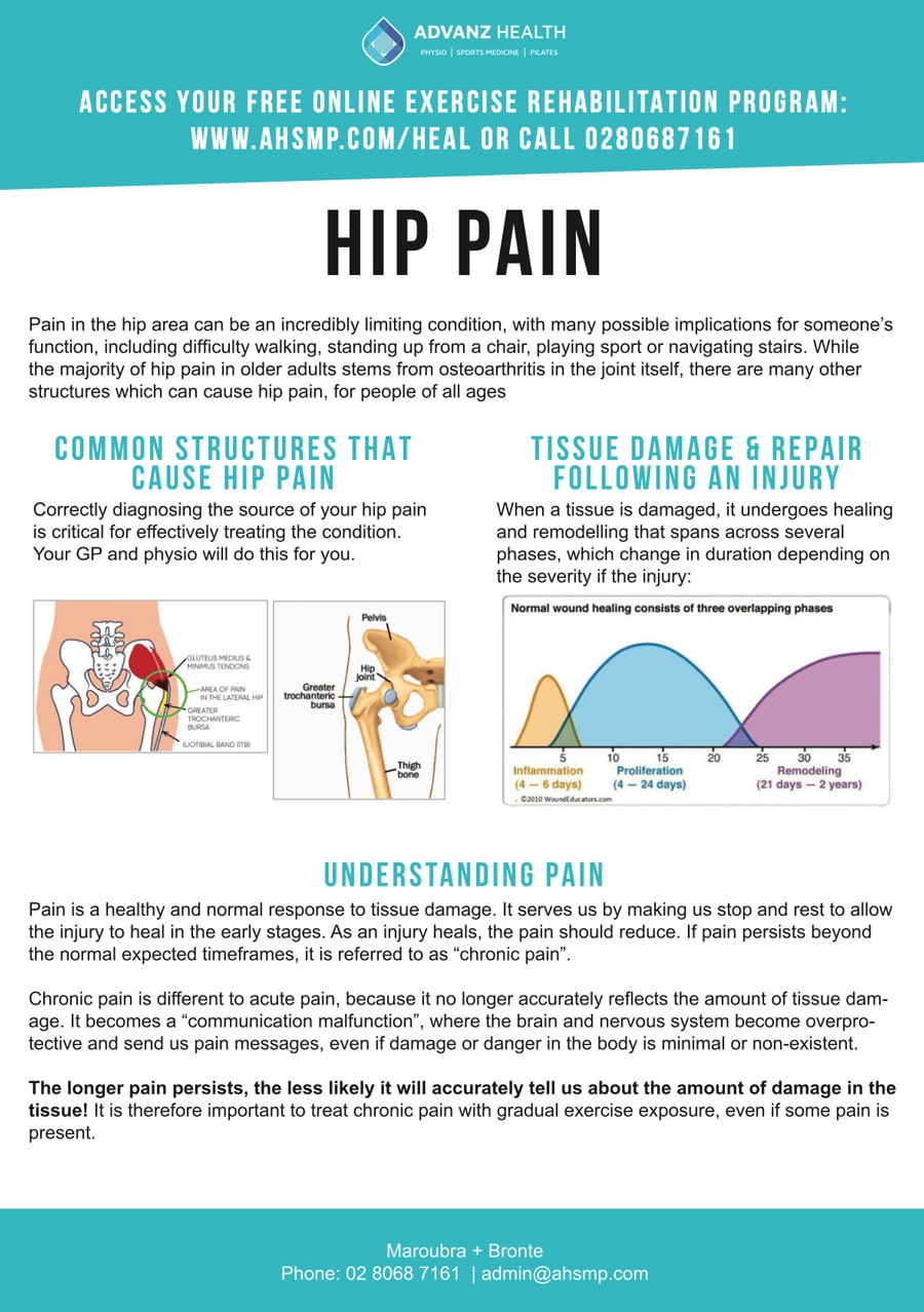 hip holder