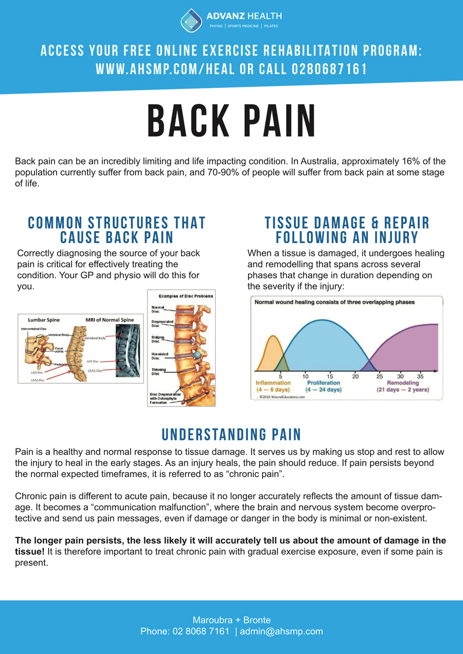 back holder