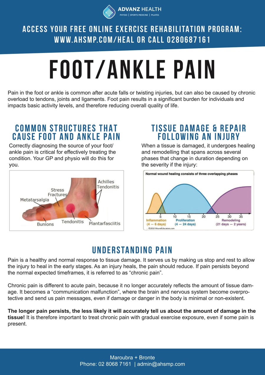 foot ankle holder