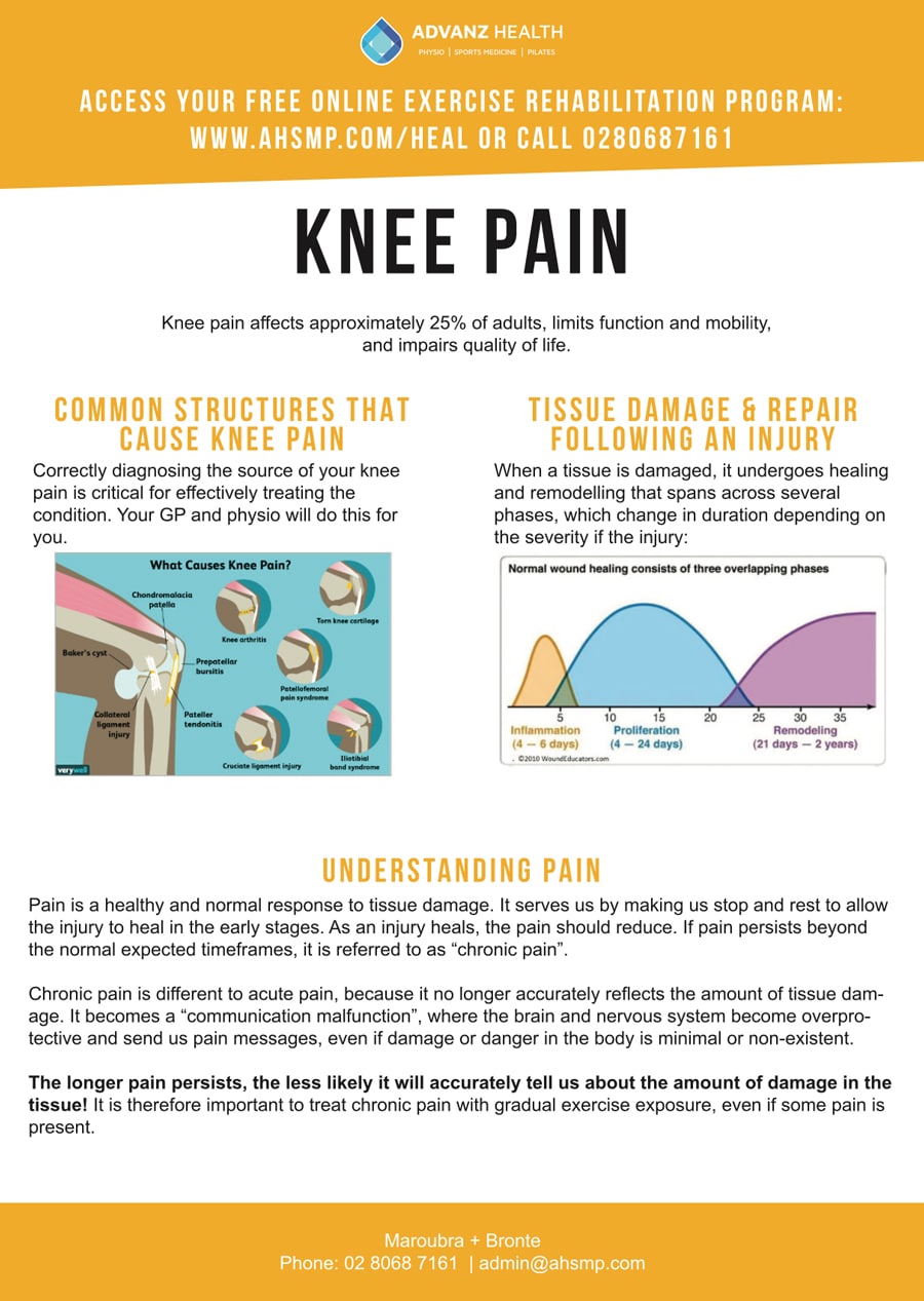 knee holder
