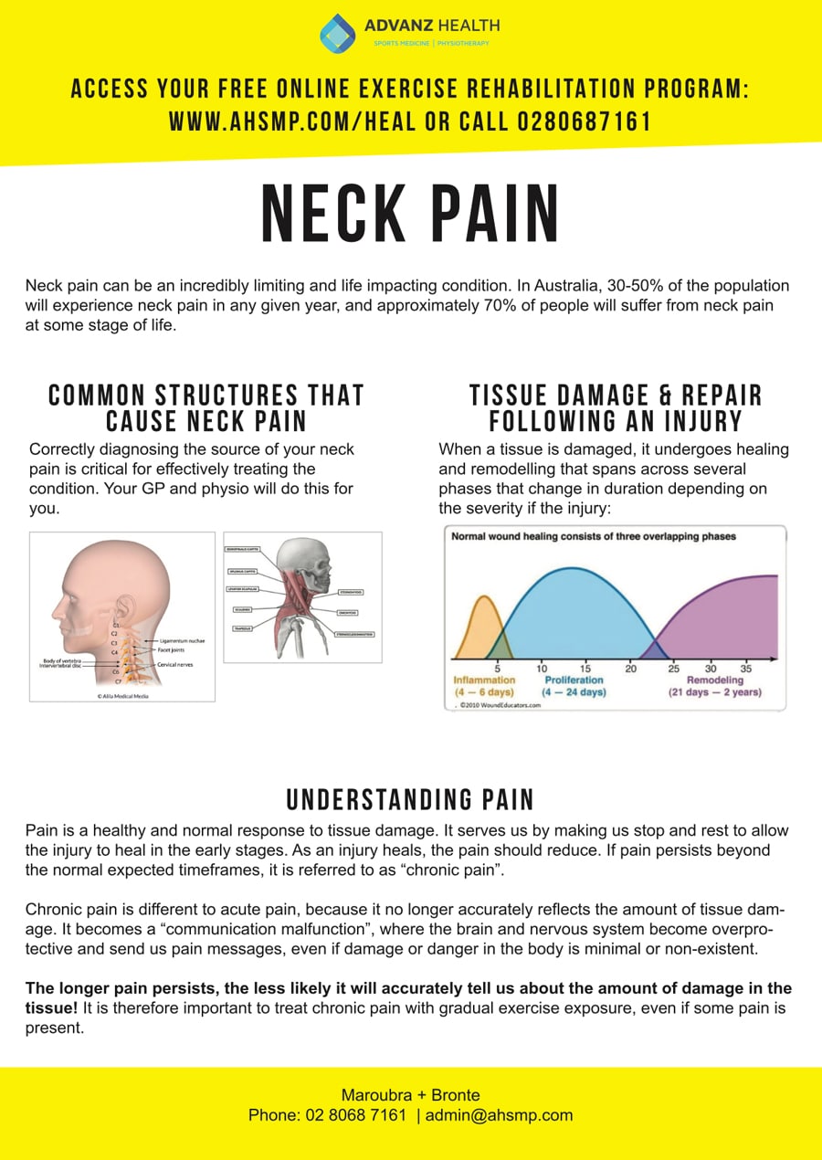 neck holder